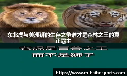 海博体育APP